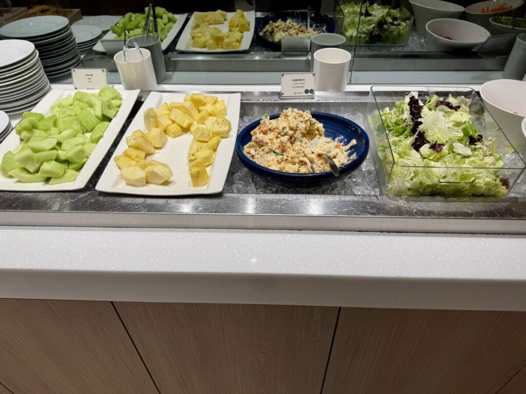 台北松山 Airline VIP Lounge