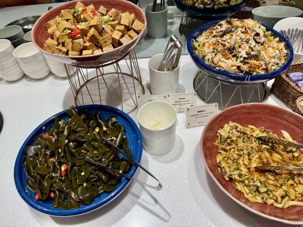 台北松山 Airline VIP Lounge