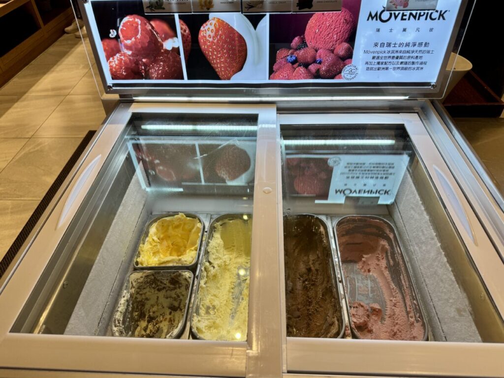 台北松山 Airline VIP Lounge