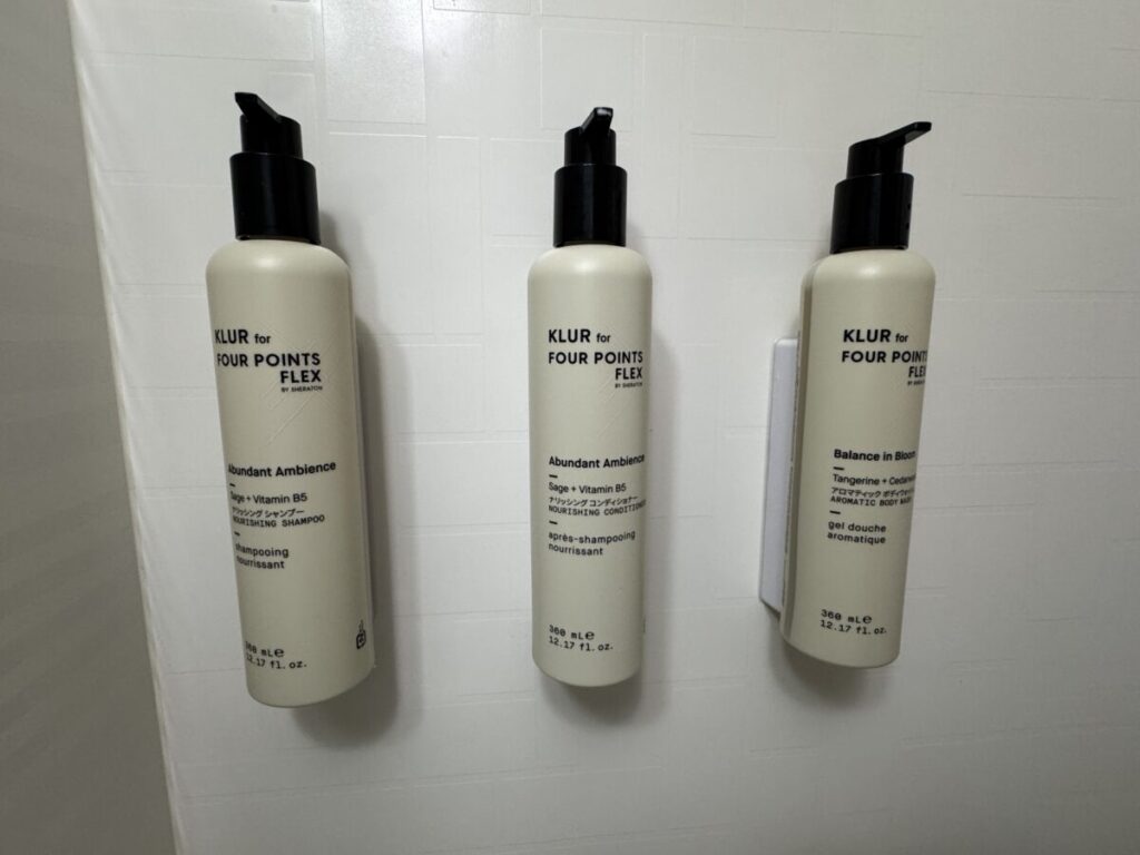 Four Points Flex by Sheraton MORIOKA